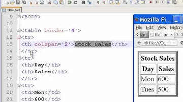 HTML Tables tr,th,td tags