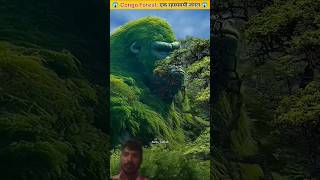 Congo Jungle😱| Congo Rainforest | World's mysterious forest #amazingfacts​ #factsinhindi​ #shorts​