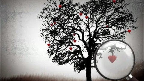 VOTE4JESUS - Sermon on the mount