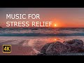 Soothing piano music  relieve stress calming music meditation insomnia  4k tropical landscapes