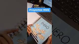 Así organizo todos mis proyectos web #diseñoweb #freelancelife #uxui #worklife #organizationhacks
