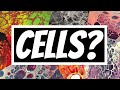 You're doing cells all wrong! How to get cells with silicone