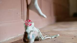 Ramadan Germ Protection with Dettol