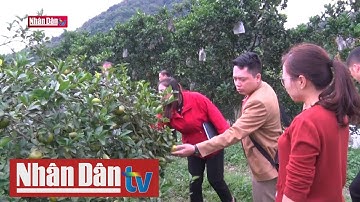 Bắc Kạn tập trung phát triển nông sản hướng đến xuất khẩu