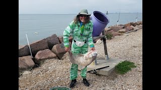 We went drone fishing at the texas city dike on last day of january
2020, and caught two monster black drum! first one was truly a 41"
and...