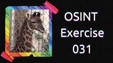 OSINT Exercise 031 | Solution and full walkthrough