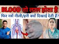 खून तो लाल होता है फिर नशें नीली या हरी क्यों दिखाई देती है?|| नशे नीली क्यों दिखाई देती है?