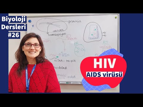 Video: Bir HIV virüsünün işlevsel olmayan bir ters transkriptaz enzimi varsa ne olur?