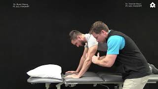 Upper Quarter (Upper extremity) postural control reactions