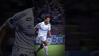 🐟 MENINO! #SANTOS #SUDAMERICANA