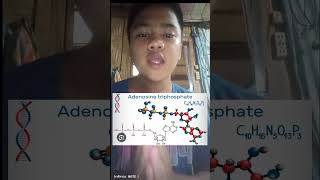 Cellular Respiration (Performance task in Biotech.)