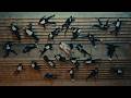 Gerilson Insrael - Corrida (Video Official)