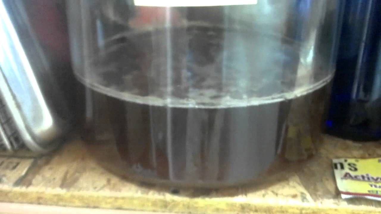 Easy Home Made Muscadine Wine YouTube