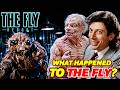 Whatever Happened to The Fly Reboot? Inside the New 2024 Fly Universe Movie