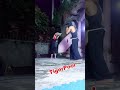 Left front kick lyoto machida #tigerpool #martialarts #taekwondo #kickboxing #muaythai