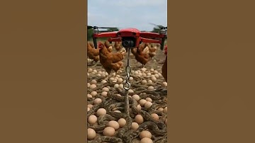 Advanced Drone  captures snakes by metal hooking  .#metal #Drohne #Schlange #ドローン #ヘビ  #drone