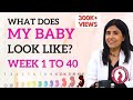 What does my Baby look like? Week 1 to 40 | Dr. Anjali Kumar | Maitri