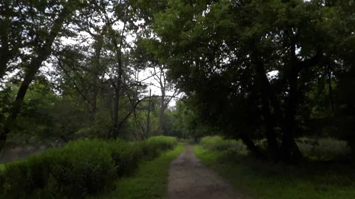 Catherine Chevalier and Schiller Woods