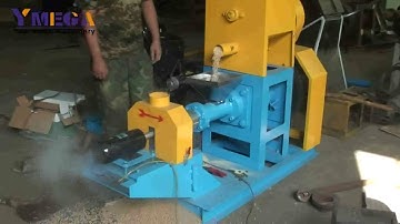 diesel extruder machine DGP70 for floating fish feed production with capacity 200kg/h
