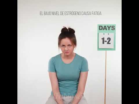 Ciclo menstrual en 2 minutos