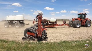 2021 Corn Planting with Dick Lavy Farms
