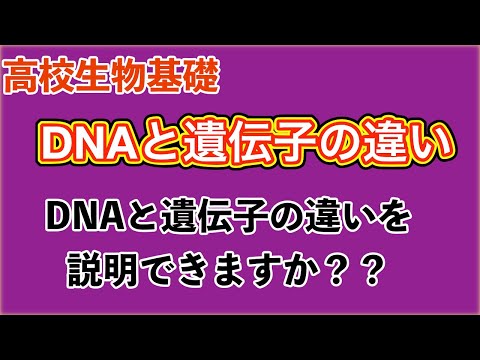 高校生物基礎「DNAと遺伝子の違い」