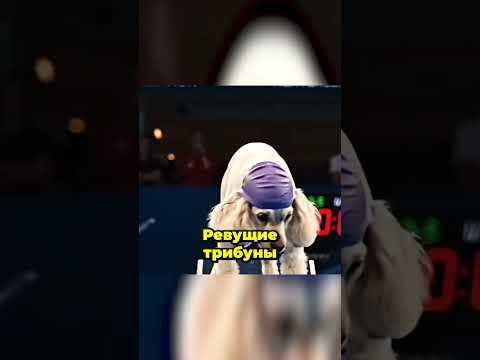 Олимпийские игры для