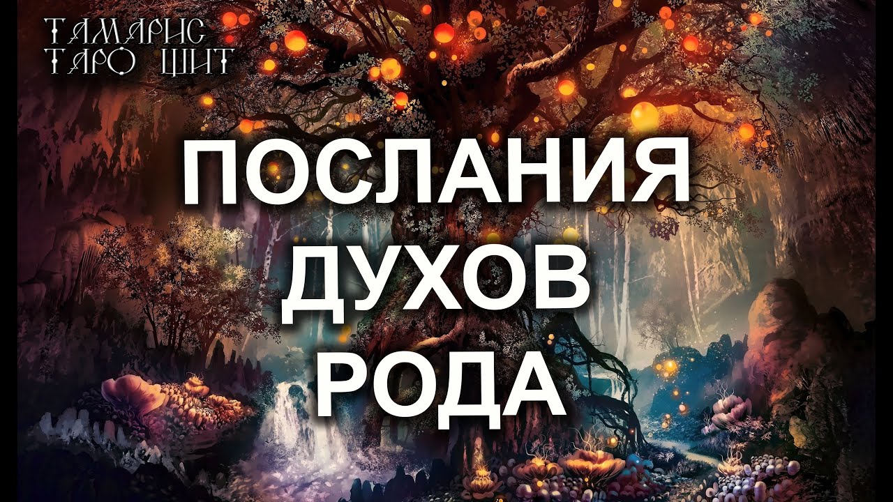 Тамарис таро щит последние расклады