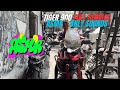 🔧 Tiger 900 Full Service | Satisfying ASMR for Bike Lovers