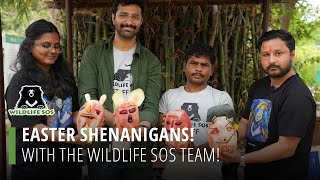 Easter Shenanigans With The Wildlife Sos Team!
