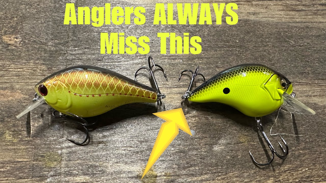 One Of THESE Crankbaits Lands More Bass..95% Of Anglers Won't Guess Why… 