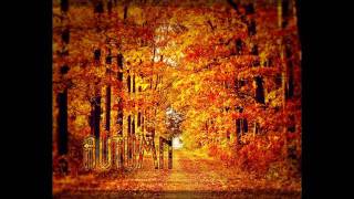 DJ KRΦSS - Autumn 1080P