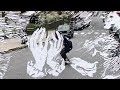 ISLAND EDIT May 4th 2020