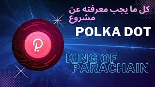 شرح التكونوميكس ومستقبل المشروع  Polka Dot   نظره علي مشروع