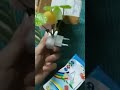 Video Image