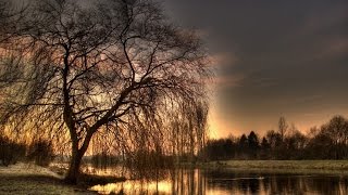 Once Upon A Time ~ Vic Damone ~ (HD)