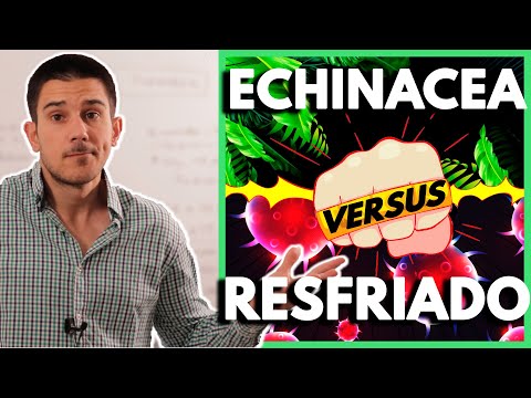 Video: Problemas comunes de la equinácea - Enfermedades y plagas de la equinácea