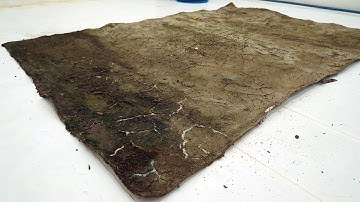 It Looked Beyond Saving… Until the First Scrape Revealed This! | Extreme Carpet Cleaning ASMR