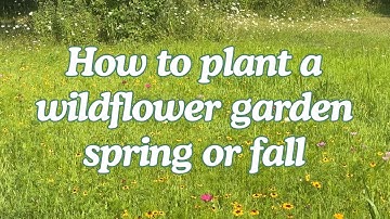 How to Plant your wildflower garden in Spring or Fall