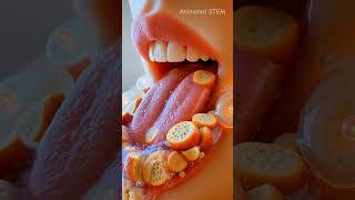 The Disgusting Truth About What Saliva Actually Does #science #mindblown #shorts