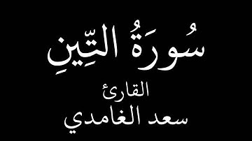 سورة التين   سعد الغامدي