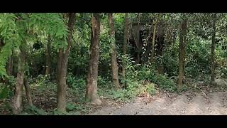 Real Ghost Caught on Camera