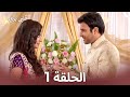 قلبي بريء الفصل 1 - Do Dil Bandhe Ek Dori Se