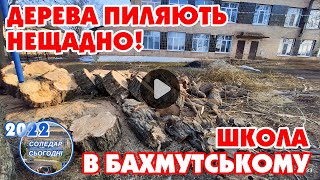 ДЕРЕВА ПИЛЯЮТЬ НЕЩАДНО! Школа в с.Бахмутському