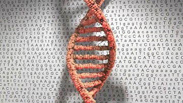 invideo ai 1080 Decoding the Blueprint  A Dive into Gene 2023 10 02 2