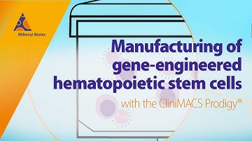 Manufacturing of gene-engineered hematopoietic stem cells with the CliniMACS Prodigy®