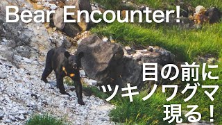 【Japan life】Bear Encounter! The Bear passing us on the mountain trail!