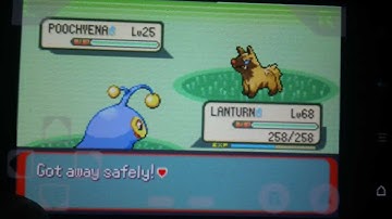 EXCLUSIVE! ANDROID SHINY Cheat For Pokemon Emerald