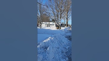 Trackless snow blower 1