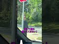 子どもたちの写真を撮る怪しい男